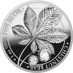 CHESTNUT GERMANIA MINT 2021 5 Mark 1 oz Pure Silver Proof Round in Capsule