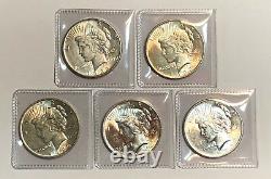 Lot of 5 AU $1 Silver Peace Dollars, Common Dates and Mint Marks