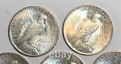 Lot of 5 AU $1 Silver Peace Dollars, Common Dates and Mint Marks